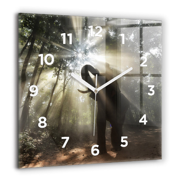 Horloge murale carrée Éléphant dans la jungle
