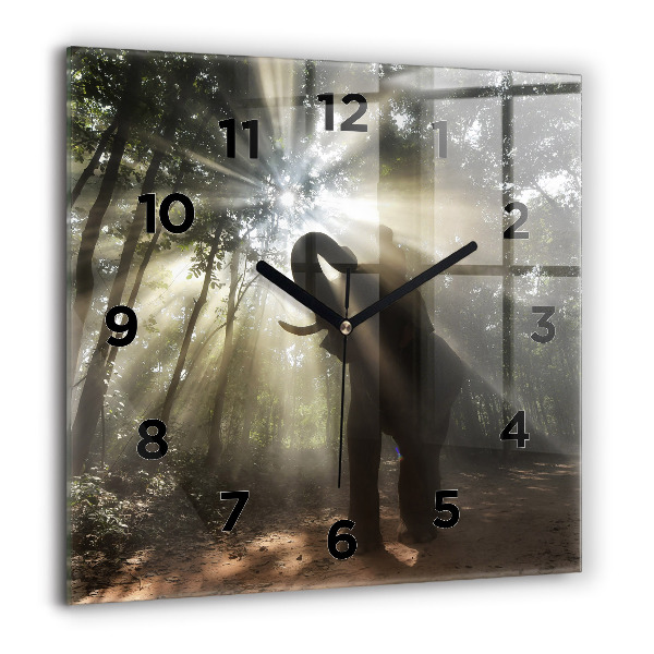 Horloge murale carrée Éléphant dans la jungle