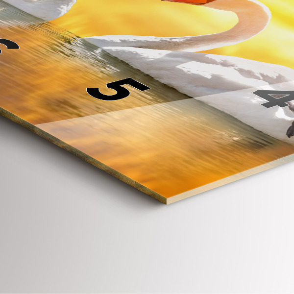 Horloge murale carrée Cygnes amoureux