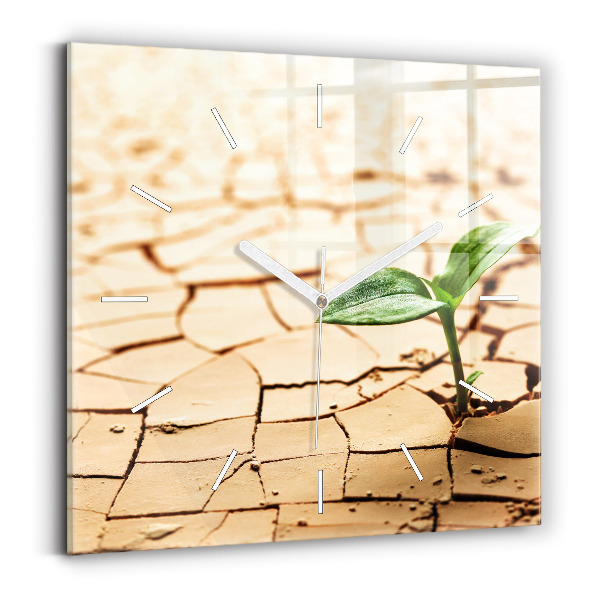 Horloge murale carrée Planter dans un sol sec