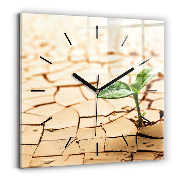 Horloge murale carrée Planter dans un sol sec