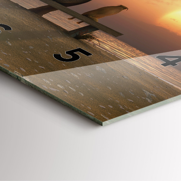 Horloge murale carrée Animaux et coucher de soleil