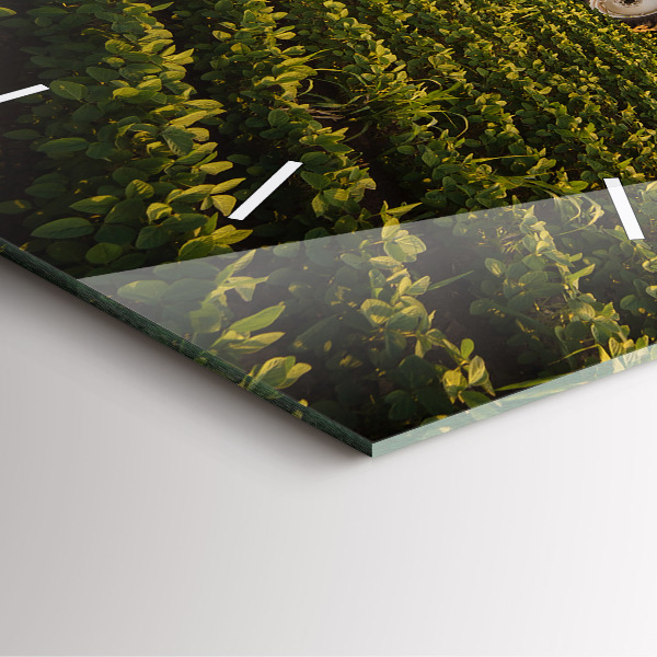 Horloge murale carrée Tracteur dans un champ agricole