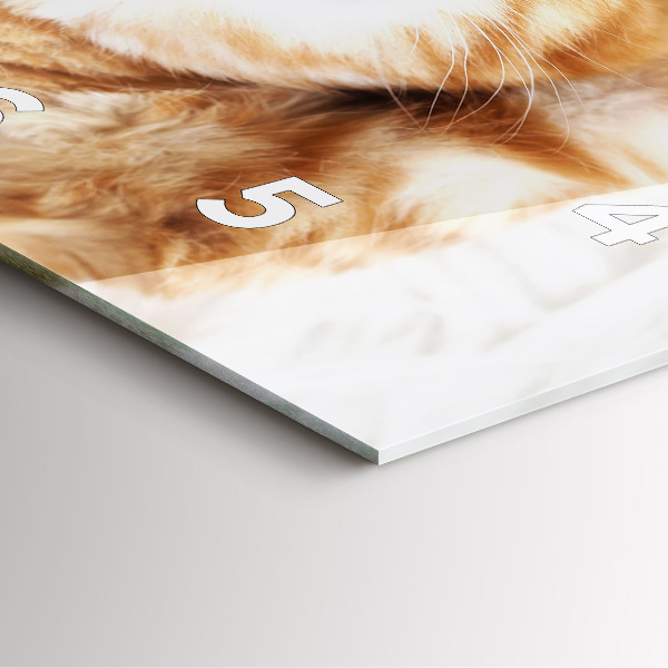 Horloge murale carrée Petit chaton endormi