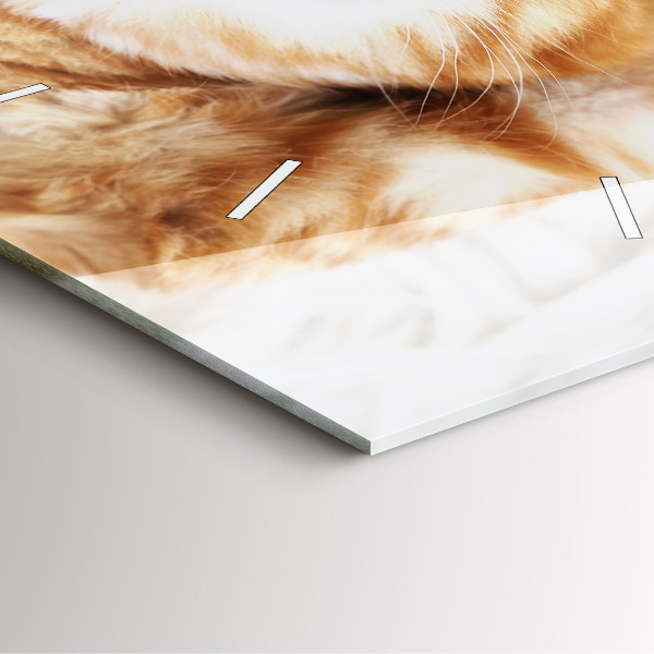 Horloge murale carrée Petit chaton endormi