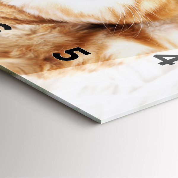 Horloge murale carrée Petit chaton endormi