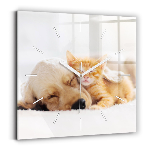 Pendule carrée en verre Chat et chien endormis