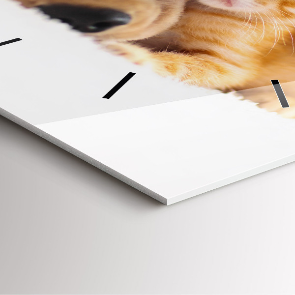 Pendule carrée en verre Chat et chien endormis