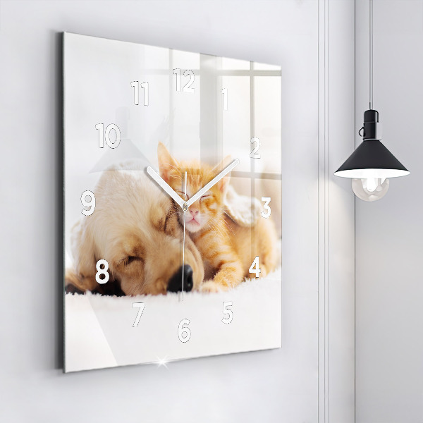 Pendule carrée en verre Chat et chien endormis