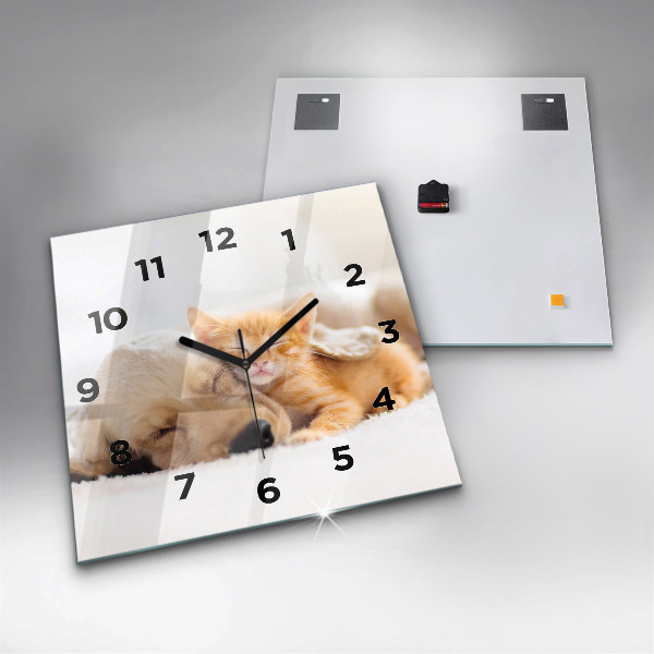 Pendule carrée en verre Chat et chien endormis