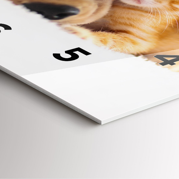 Pendule carrée en verre Chat et chien endormis