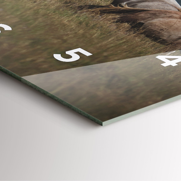 Horloge murale carrée Chevaux au galop