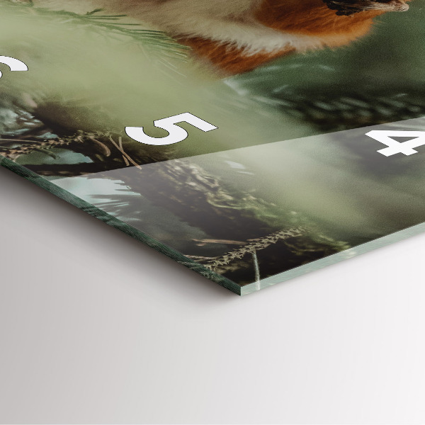 Horloge murale carrée 'L''écureuil et la nature sauvage'