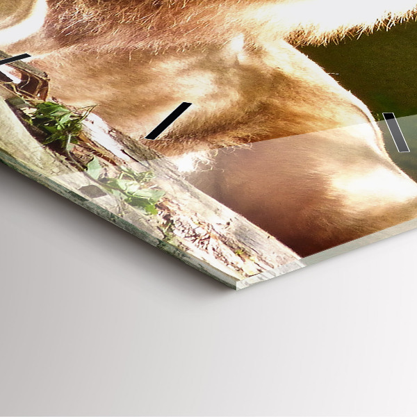 Horloge murale carrée 'Portrait d''un lion'