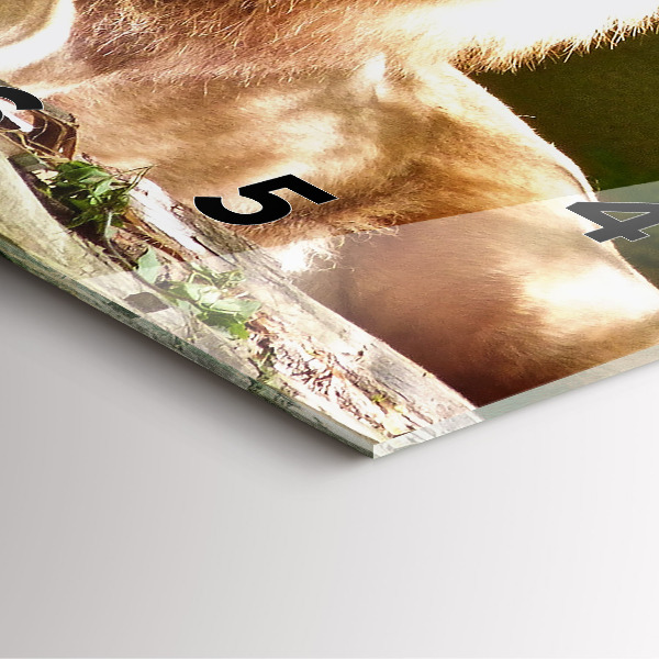 Horloge murale carrée 'Portrait d''un lion'