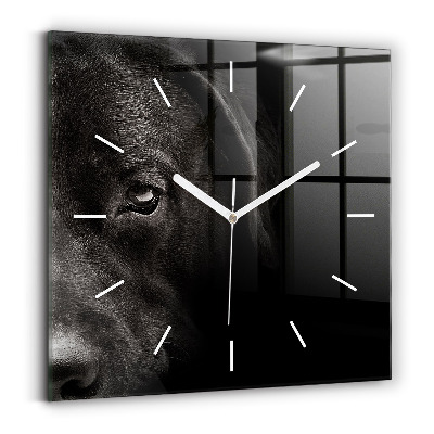 Horloge carrée en verre Chien et chat Scottish Fold