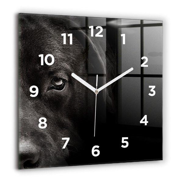 Horloge carrée en verre Chien et chat Scottish Fold