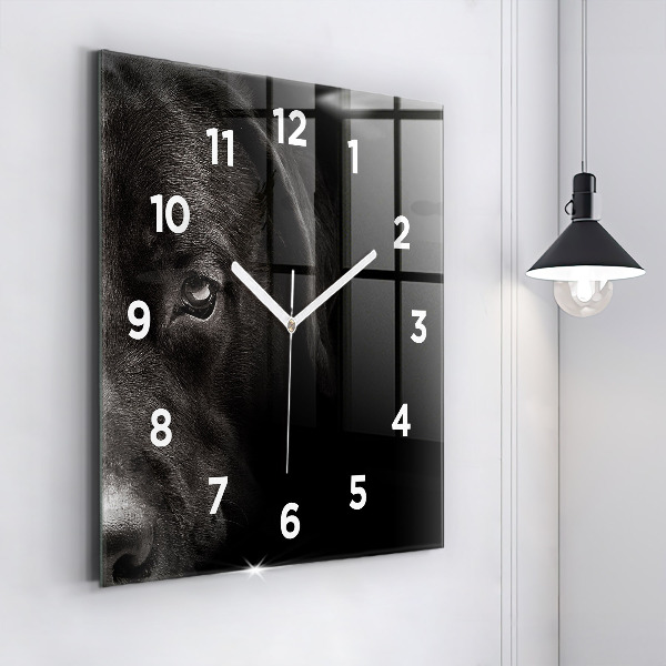 Horloge carrée en verre Chien et chat Scottish Fold