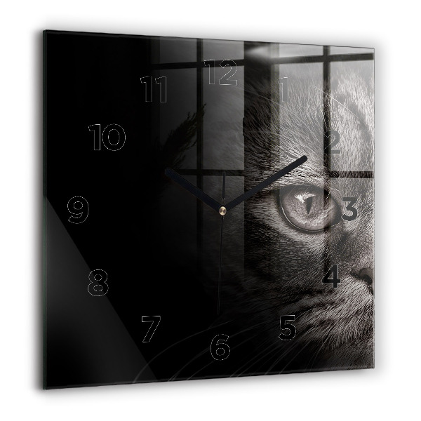 Horloge carrée en verre Chien et chat Scottish Fold