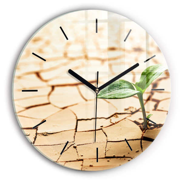 Horloge ronde Planter dans un sol sec