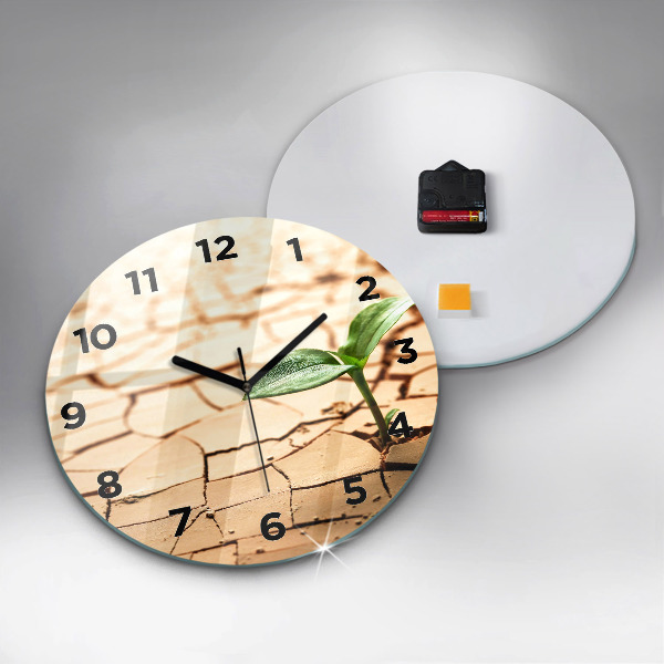 Horloge ronde Planter dans un sol sec