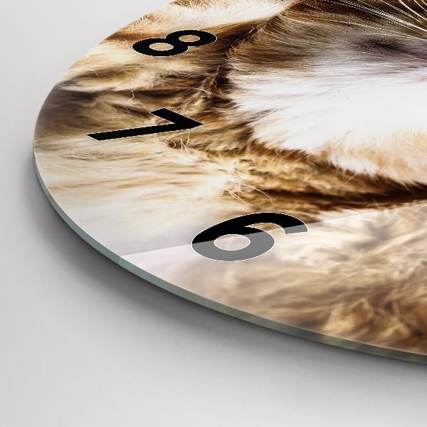 Horloge ronde Petit chaton endormi