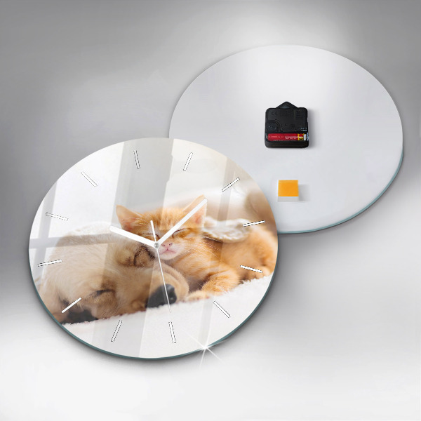 Pendule murale ronde Chat et chien endormis