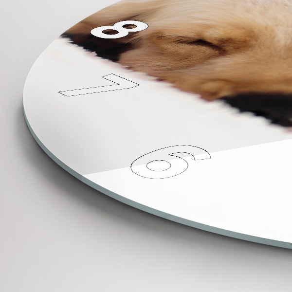 Pendule murale ronde Chat et chien endormis