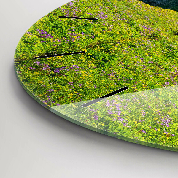 Horloge ronde Réserve de Hornstrandir, Islande
