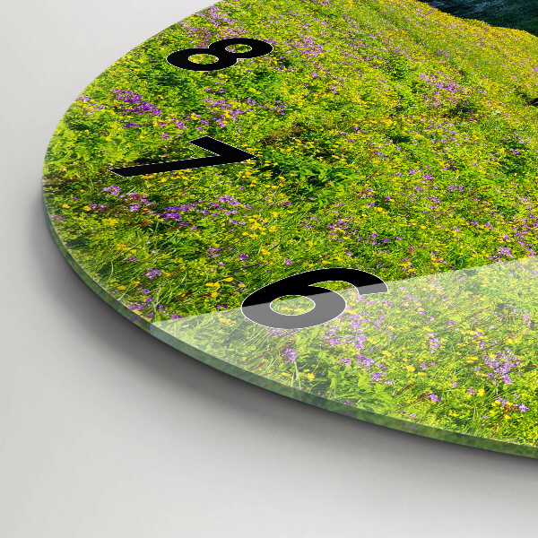 Horloge ronde Réserve de Hornstrandir, Islande