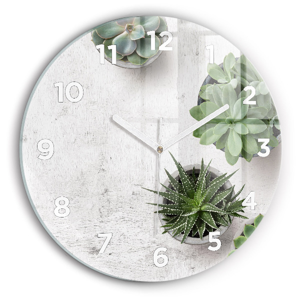 Pendule murale ronde Plantes ornementales