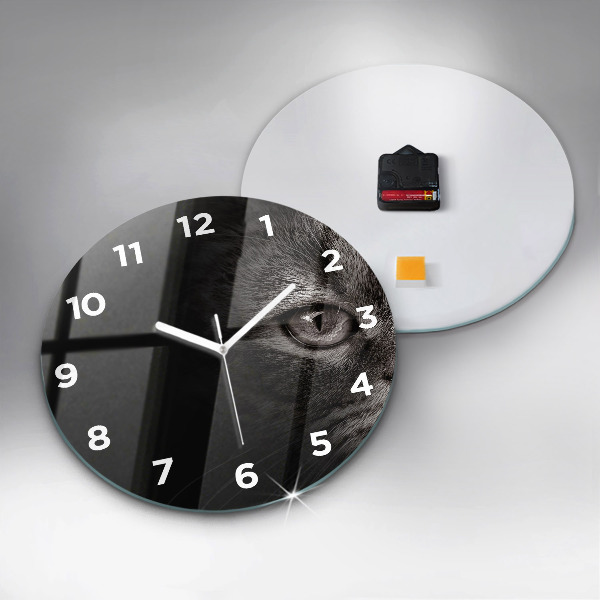 Horloge ronde Chien et chat Scottish Fold